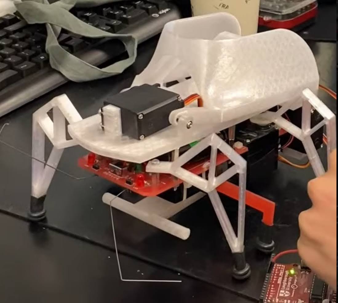 Gymnastics Stamp-bug and Rover
